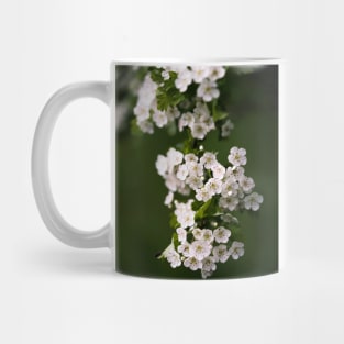 Spring Blossom Mug